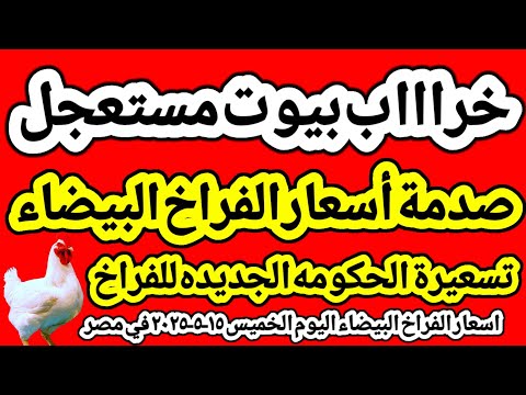 اسعار الفراخ البيضاء اليوم/ سعر الفراخ البيضاء اليوم الخميس ١٥-٥-٢٠٢٥ في مصر جمله وقطاعي