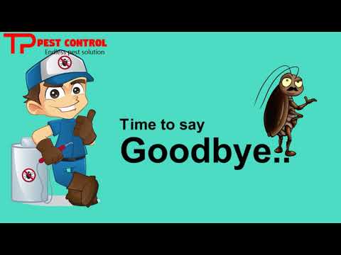 business video