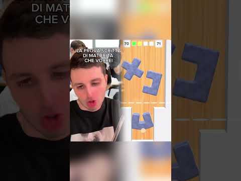 È dura, ma ce la si fa! #maturità #provascritta #esamidimaturità #estate2025 #cane #stevemozz