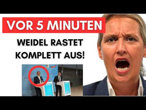 AfD gibt Presse-Statement & Weidel zerlegt Merz komplett!