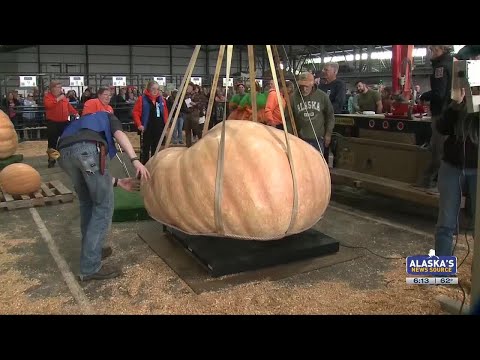 YouTube video thumbnail: Anchorage Pumpkin Grower Claims Alaska State Fair Prize for 14th Time