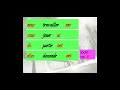 Mastering Futur Simple: Regular and Irregular Verbs in French