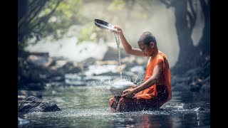 🔴 10-Minute Morning Meditation for a Refreshed Day Relaxing Music Stress Relief