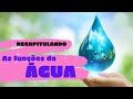 Importância da Água