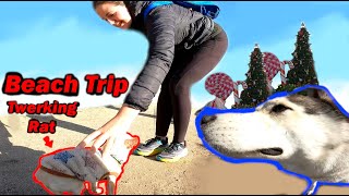 Taking My Twerking Chihuahua To The Beach!
