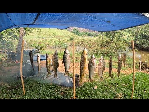 ACAMPAMENTO na margem do rio, se não fosse a pesca proibida eu não tinha feito o assado