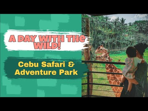 Safari Park Coupon 08 21