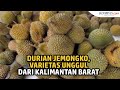 Durian Kalimantan Barat
