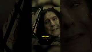 Times Harry Potter Professors Stole the Show