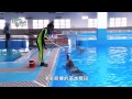 Dolphin Training Techniques and Concepts