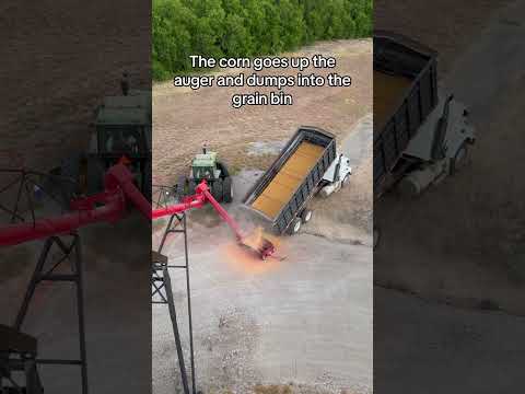 30,000,000 lbs of corn!  #farmjobs #farm #farming #farmlife #farm