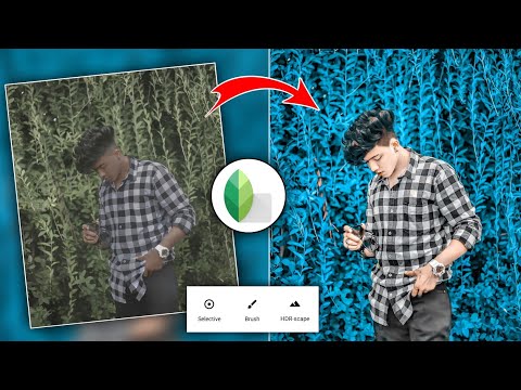 Snapseed New Best Color Effect Photo Editing Tricks 🔥 | Snapseed Background Colour Change Tutorial