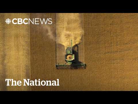 YouTube video thumbnail: Tariffs are Crushing Canada’s $40B Canola Industry
