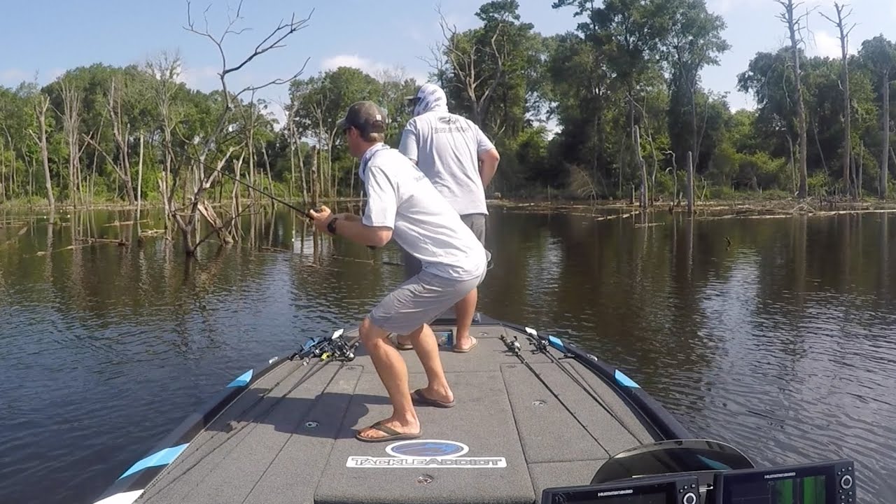 Hot Summer Bass Fishing Techniques and Gun Shots