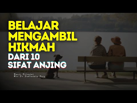 Sepuluh Sifat Anjing yang Patut Diteladani oleh Manusia - Ust. Dr. Fahruddin Faiz | Ngaji Filsafat