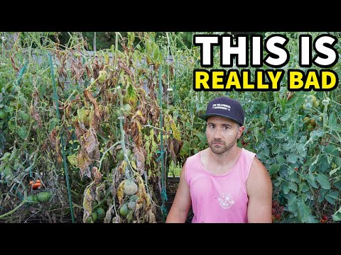 My Garden Is Ruined And EVERYTHING Is Dying!