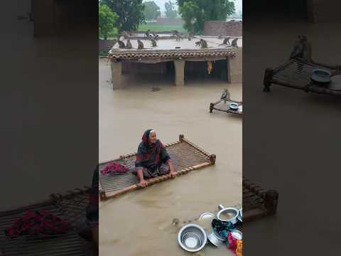 Flood 😭😭 in village rain 🌧️⛈️