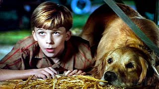 Les Aventures de Charlie | Film Complet en Français | Famille