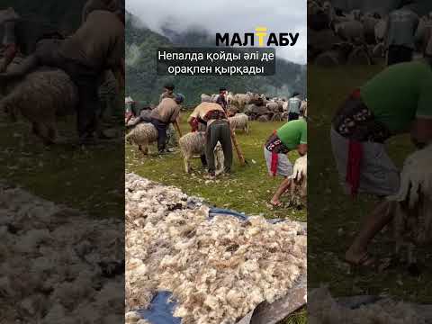 9 марта 2026 г.