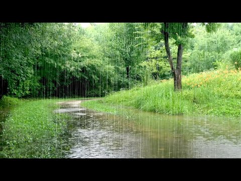 Fantastic Walking Path & Rain Sounds that Seem to be in a Dream - Mental Stability, Relaxation