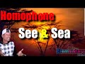 Understanding Homophones and Usage of 'To' and 'Two'