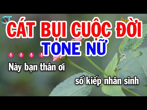 Karaoke Cát Bụi Cuộc Đời Tone Nữ Dm | Nhạc Sống Mới || Karaoke Tuấn Kiệt