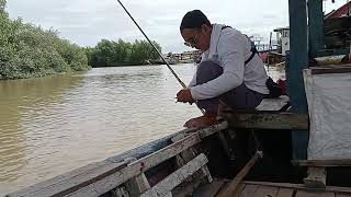 Dulur Mancing 88 LIVE !! #fishing