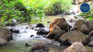 Soothing Sounds Calming Piano Music