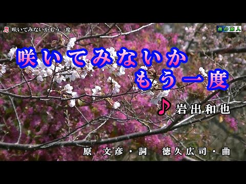 岩出和也【咲いてみないかもう一度】カラオケ