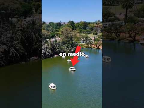 pedà comida en medio de un lago