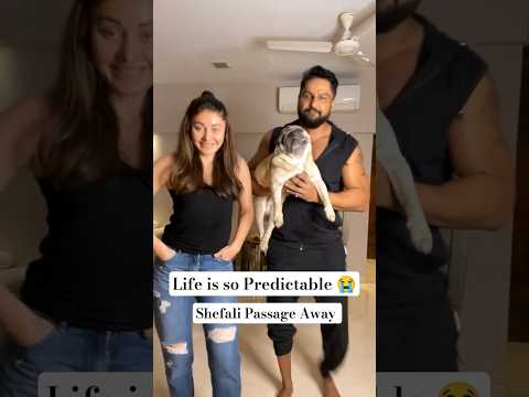 Bigg boss 13 Fam Shefali Jariwala passage Away #shorts