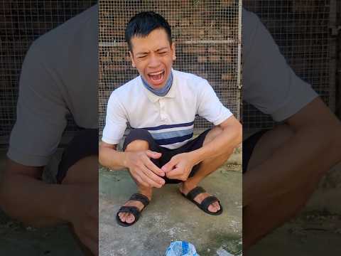 xót quá #funny #comedy #shorts