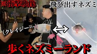 新宿で体の周りにネズミつけて歩いてたらドン引かれた