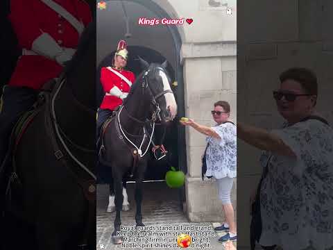 King's Guard ❤️ Meets Kid's#kingsguard#horseguardsparade#peterellis#soldier#tourist