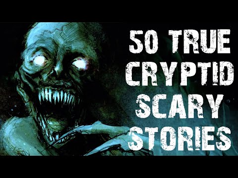 50 True Cryptid & Middle of Nowhere Scary Stories | Disturbing Horror Stories To Fall Asleep To