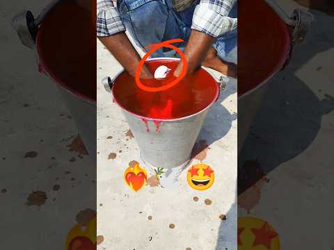 লাল পানি দিয়ে কবুতরটিকে গোসল করালাম 😎🕊🤩 #shorts #pigeon #viralvideo #birds #youtubeshorts #ytshorts