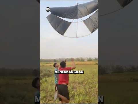 menerbangkan layangan gapangan itu sulit