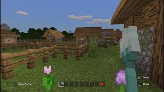 Minecraft_20210611032649