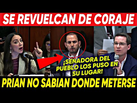 SE REVUELCAN DE C0RAJE ¡ANAYA Y MARKO CORTES NO SABIAN DONDE METERSE! SENADORA DE PUEBLO LOS PARA