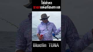 ล่าบลูฟินทูน่า !! เรือพังกลางทะเลสเปน