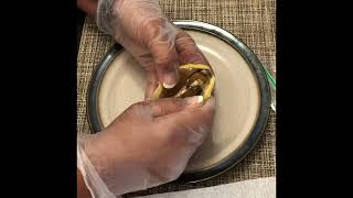 Como germinar efectivamente la semilla de mango. @HuertoLatino