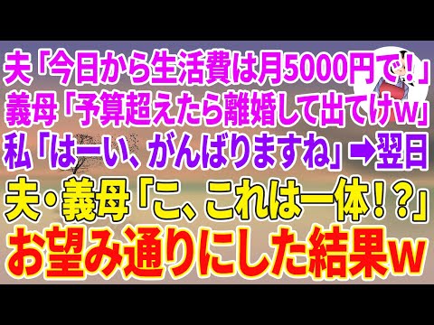 【スカッとする話】夫「今日から生活費は月5000円で！」義母「予算超えたら離婚して出てけw」私「はーい、がんばりますね」翌日。夫・義母「こ、これは一体！？」お望み通りにした結果w【スカッと】