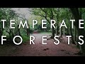 Exploring the Temperate Forest Biome