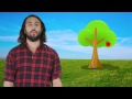 Vertical Motion and Gravity Concepts