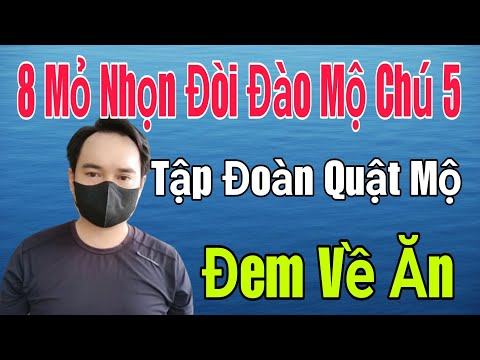 🟢 8 Mỏ Nhọn đòi ĐÀO MỘ CHÚ 5, Tập đoàn tranh nhau quật mộ đem về ăn