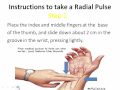Understanding the Basics