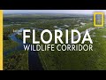 Florida Environmental Challenges and Conservation