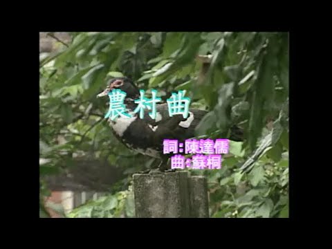 江蕙 - 農村曲 - YouTube