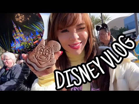 VIAJAMOS A DISNEY 🐭🏰 Vlogsemanal #5 #disneyland