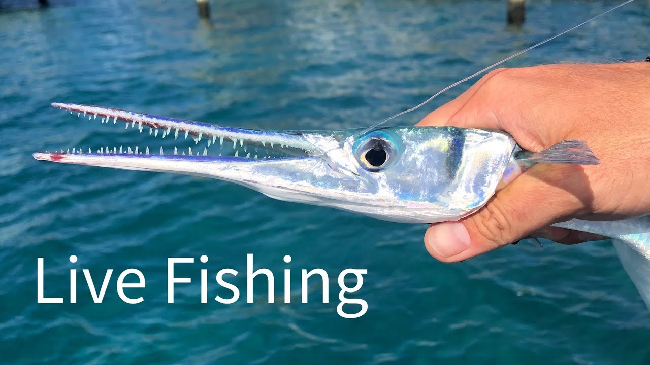 Coronavirus Cant Stop Us from Fishing